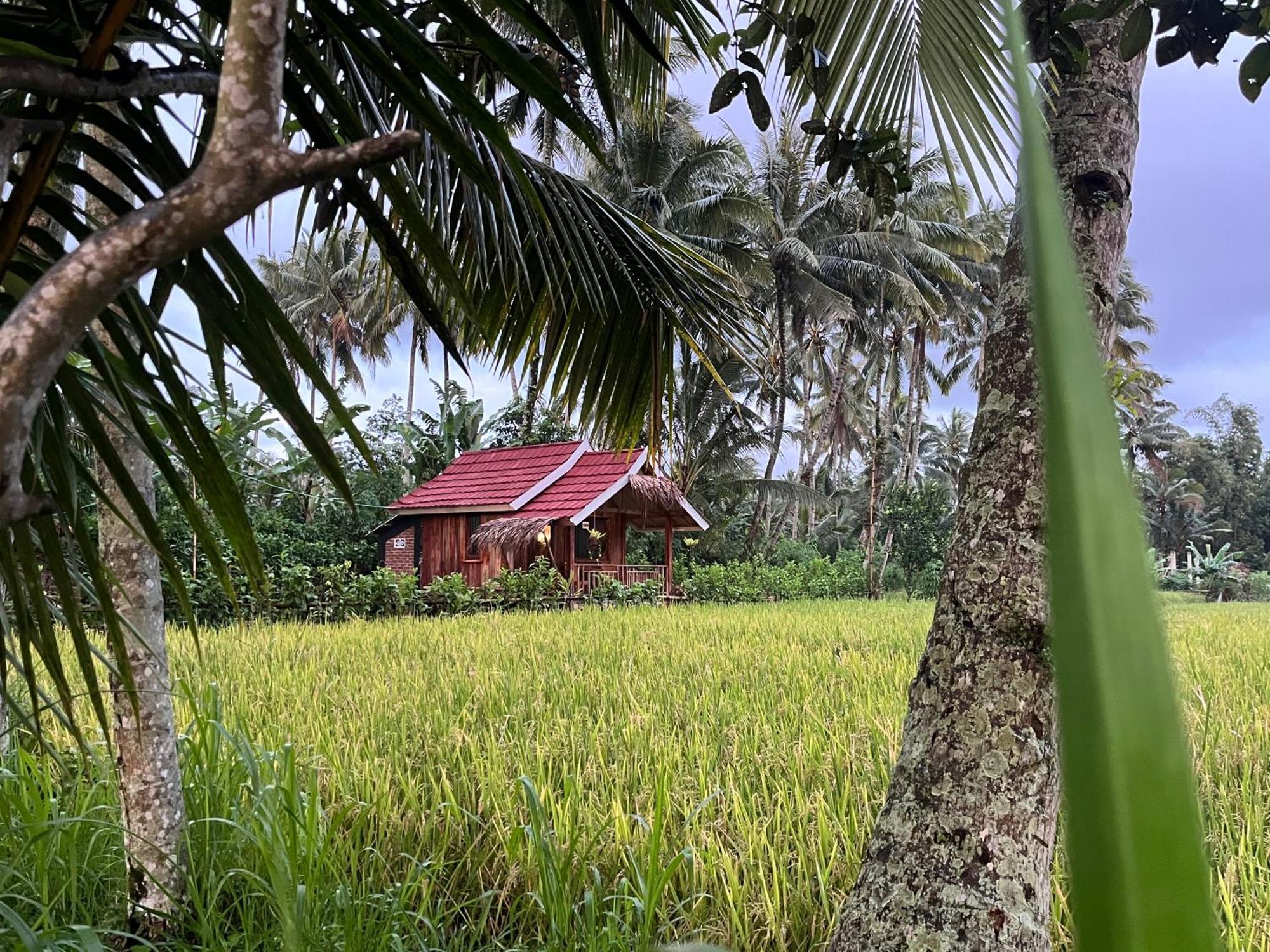Syaqila Homestay Lombok Tetebatu Exterior photo
