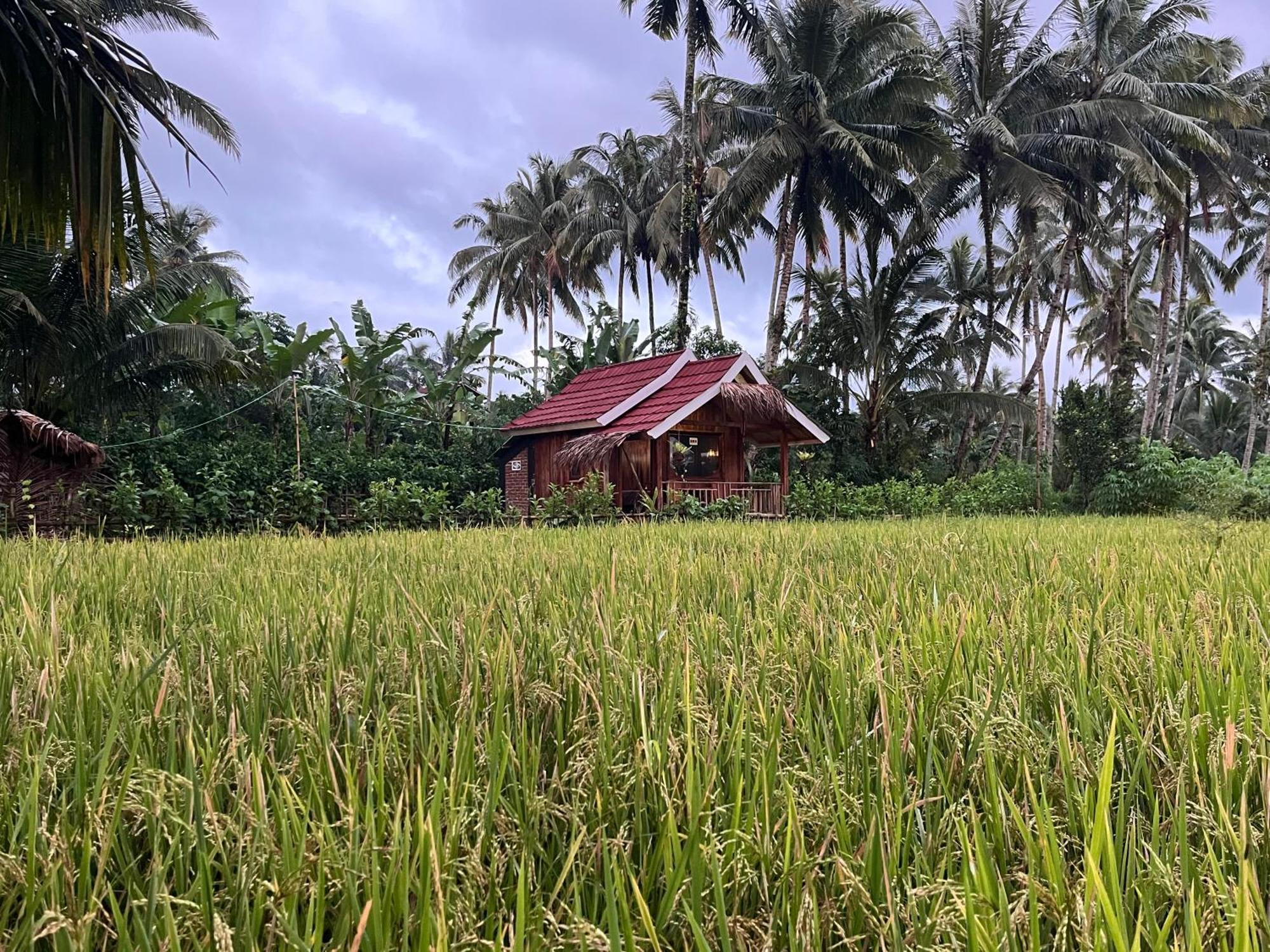 Syaqila Homestay Lombok Tetebatu Exterior photo